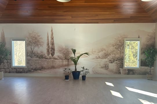 Photo of immersive wall art at museum gallery