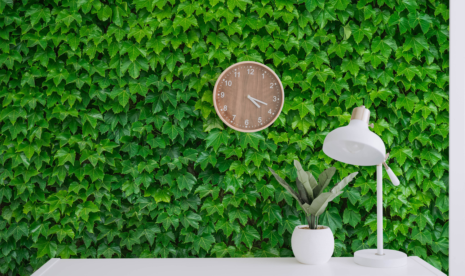 Ivy Leaves Wall Mural Wallpaper